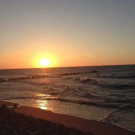 Lesne Tarasy * Dziwnowek